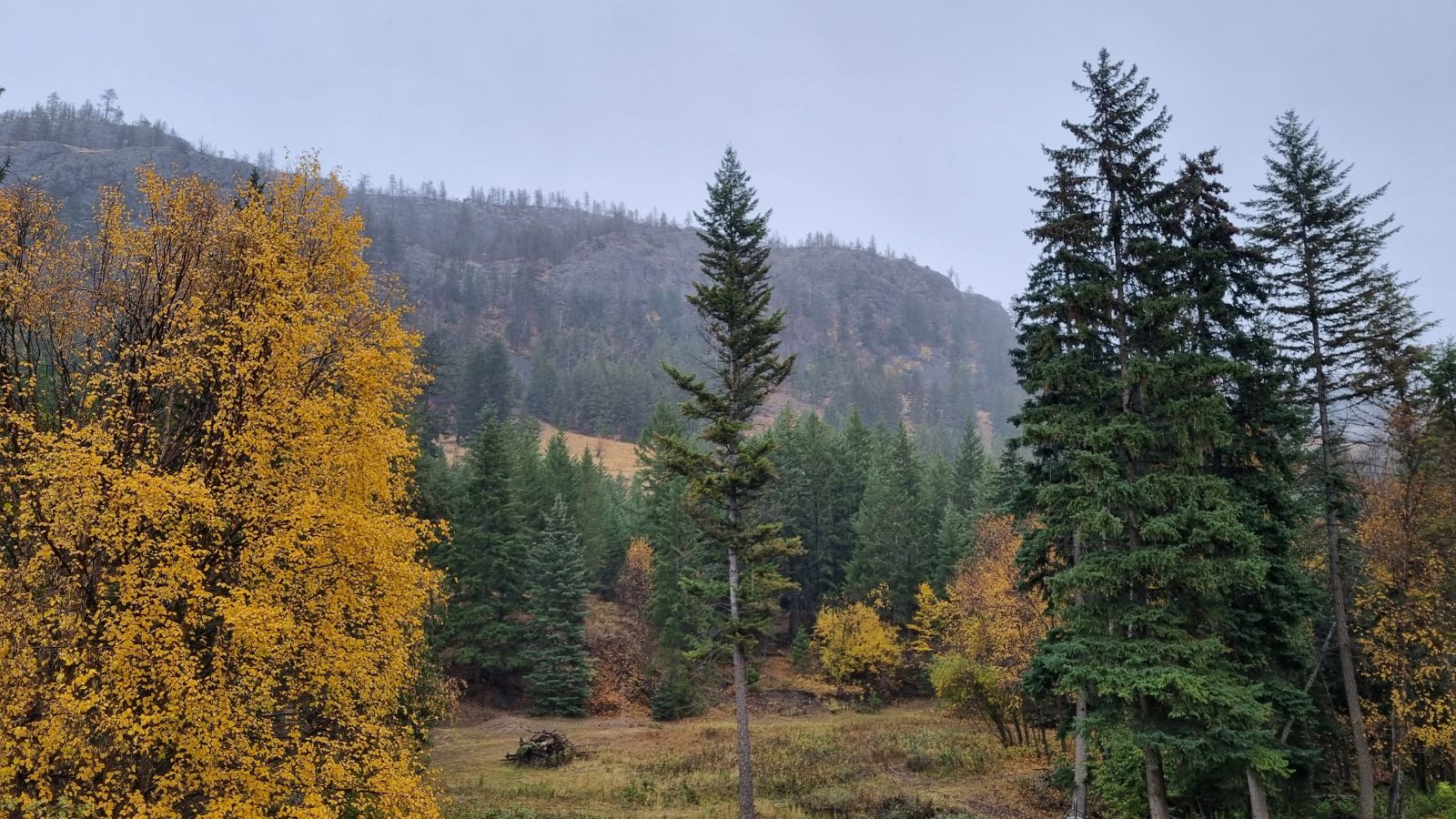 Autumn trees and evergreen forest beneath the rocky hills of Kaleden, British Columbia, Canada on a misty day.
