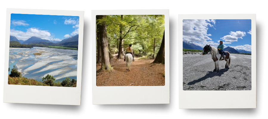 Three-photo polaroid collage from a horse trek in Glenorchy, New Zealand: the Dart River weaving through the valley under blue skies, Danielle riding through a quiet beech forest, and a rider on horseback standing on the wide river flats surrounded by mountains.