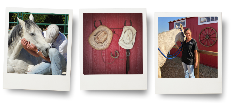 Three polaroid-style photos from HorseSpeak at Cowgirl Up Ranch: a quiet moment of connection with a grey horse, a red barn wall with cowboy hats and a horseshoe, and a woman standing beside a white horse with the ranch barn in the background.