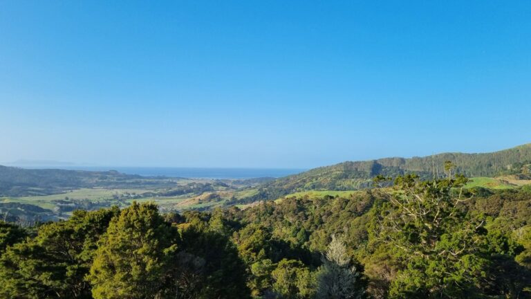 Calm landscape view of Pakiri Farm, looking across rolling hills toward the ocean on a clear day