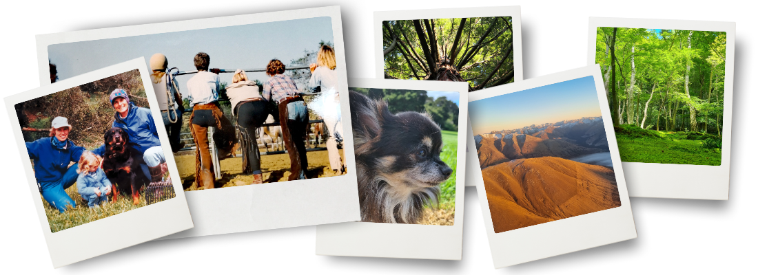 A collage of polaroid-style photos showing moments and places that bring Danielle joy: a family photo with her daughter and dog, women leaning on a fence watching horses, a forest canopy, a close-up of a small dog, golden mountains at sunset, and a lush green woodland.