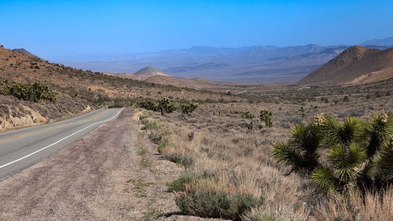 Open desert highway stretching through the California backcountry, with Joshua trees, sage scrub, and distant mountain ranges under a clear blue sky — wide open space and quiet clarity
