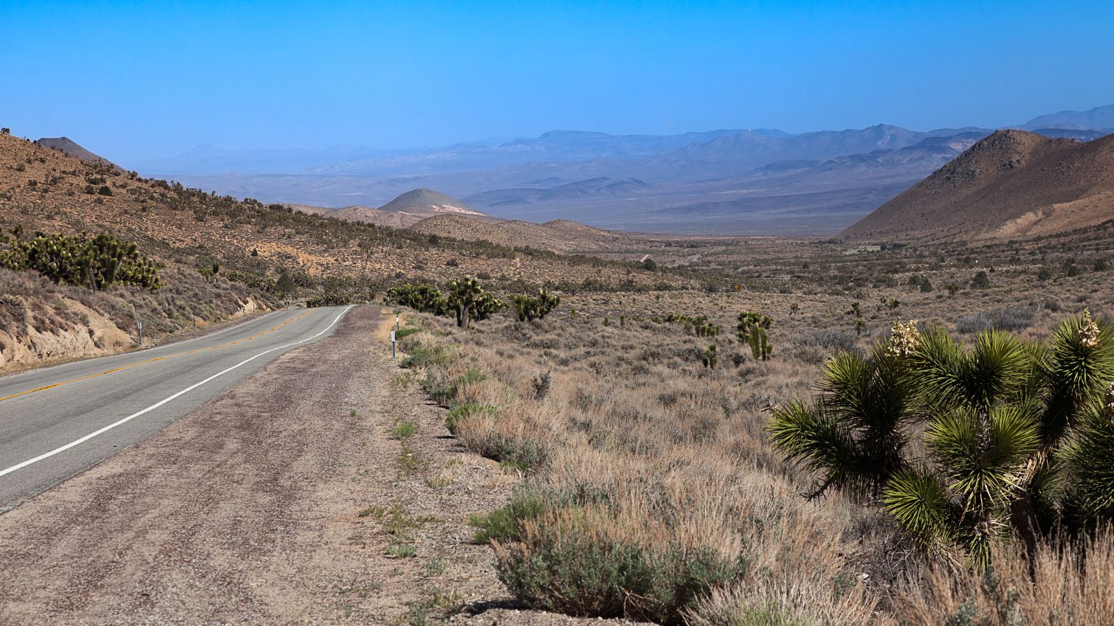 Open desert highway stretching through the California backcountry, with Joshua trees, sage scrub, and distant mountain ranges under a clear blue sky — wide open space and quiet clarity
