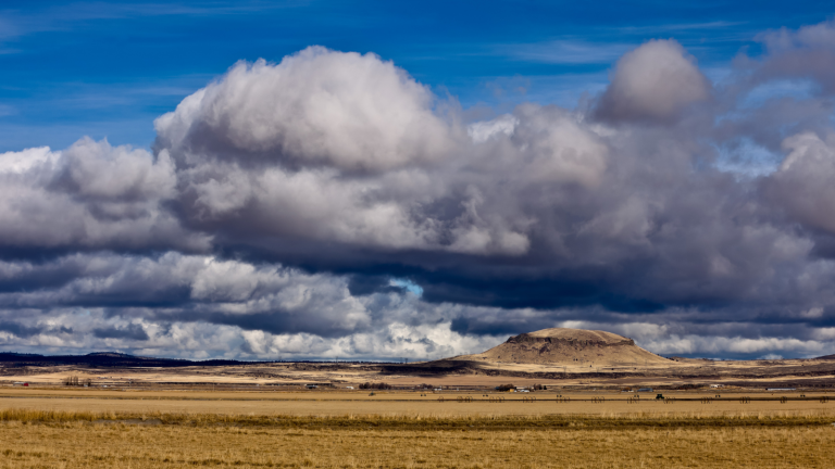 Outside of Modesto, Northern Californa
